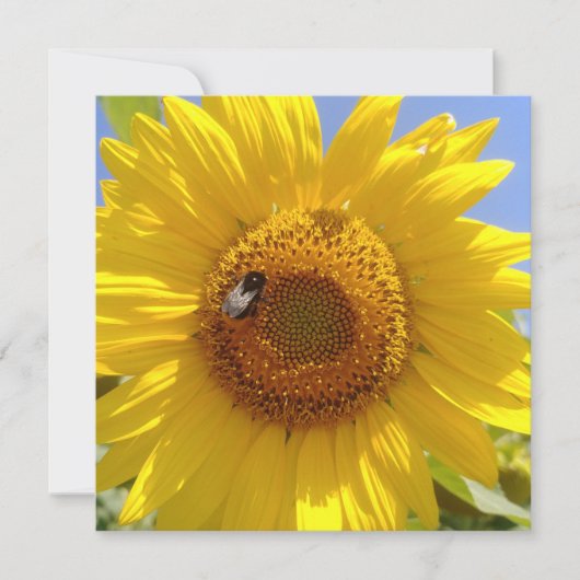 Gele zonnebloem kaart (Voorkant)