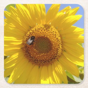 Gele zonnebloem kartonnen onderzetters