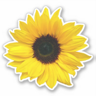 Gele Zonnebloem Kiss-Cut Sticker