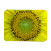 Gele Zonnebloem Magneet (Horizontaal)