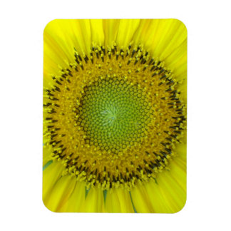 Gele Zonnebloem Magneet