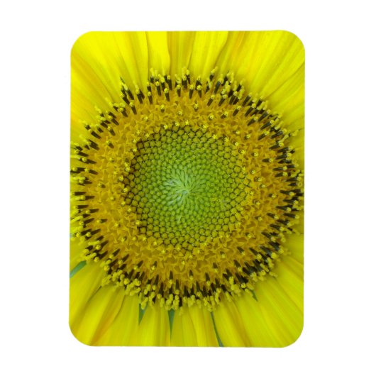 Gele Zonnebloem Magneet (Verticaal)