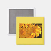 Gele zonnebloem magneet (Voorkant / Achterkant)