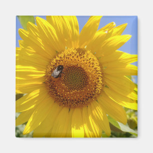 Gele zonnebloem magneet