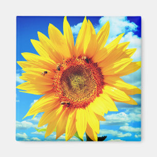 Gele zonnebloem Magnet