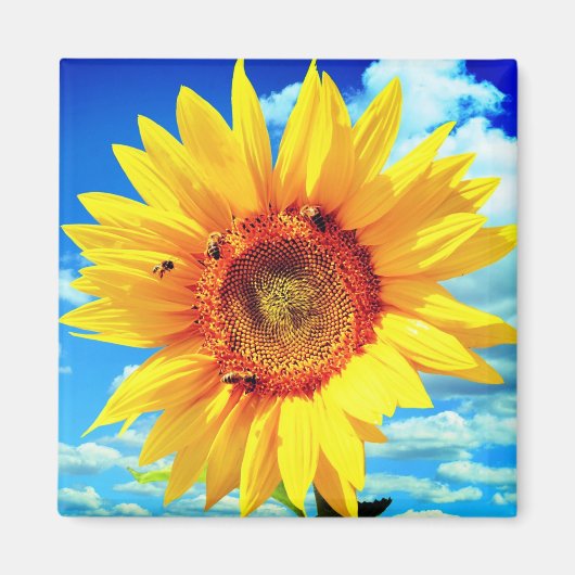Gele zonnebloem Magnet (Voorkant)