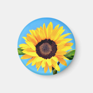 Gele zonnebloem Magnet