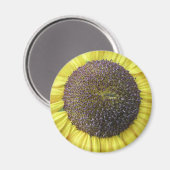 Gele zonnebloem Magnet (Voorkant / Achterkant)