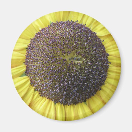 Gele zonnebloem Magnet (Voorkant)