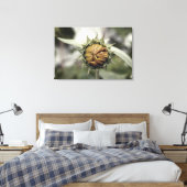 Gele zonnebloem met gesloten bladen canvas afdruk (Insitu (Slaapkamer))