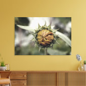 Gele zonnebloem met gesloten bladen canvas afdruk (Insitu (Woonkamer))