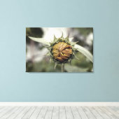 Gele zonnebloem met gesloten bladen canvas afdruk (Insitu (Houten vloer))