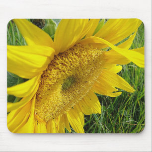 Gele zonnebloem-mousepad muismat