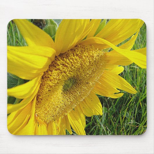 Gele zonnebloem-mousepad muismat (Voorkant)