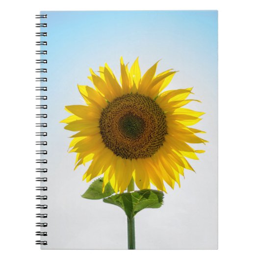 Gele zonnebloem notitieboek (Voorkant)