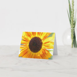 Gele zonnebloem notitiekaarten