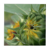 Gele zonnebloem Onvouwbare Natuur Tegeltje (Voorkant)