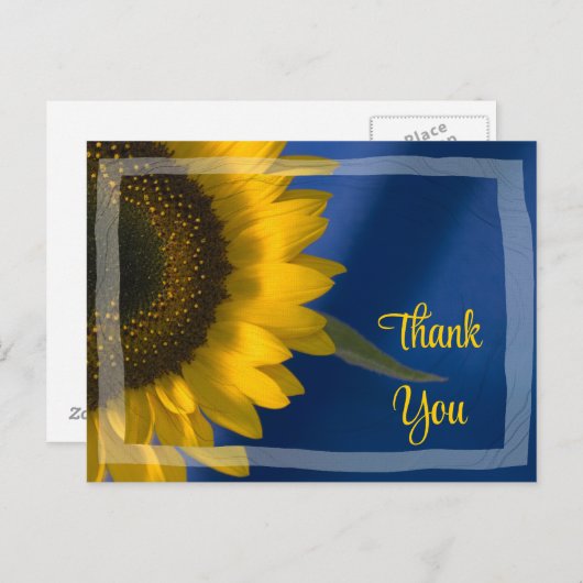 Gele zonnebloem op blauw Dank u Briefkaart (Voorkant / Achterkant)