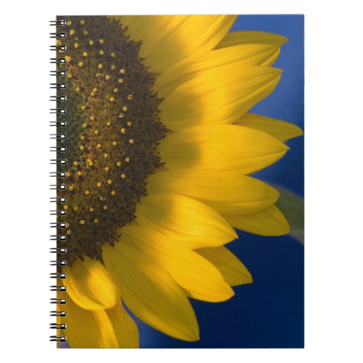 Gele zonnebloem op blauw notitieboek (Voorkant)