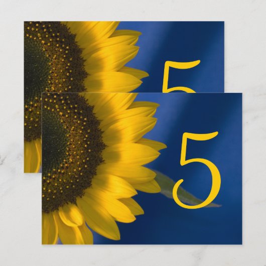 Gele zonnebloem op blauw tabelnummer briefkaart (Voorkant / Achterkant)