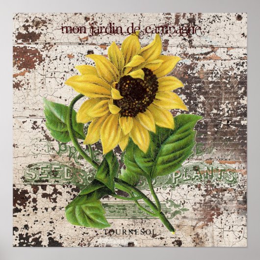 Gele Zonnebloem op rustieke houten paneel Poster (Voorkant)