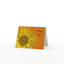 Gele zonnebloem op Sinaasappel Dank u wel