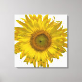 Gele zonnebloem op wit canvas afdruk (Voorkant)