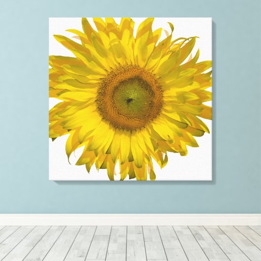 Gele zonnebloem op wit canvas afdruk (Insitu (Houten vloer))