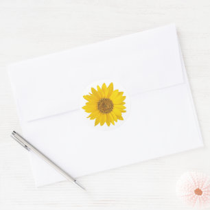 Gele Zonnebloem op Wit Ronde Sticker
