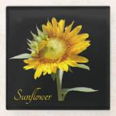  gele zonnebloem op zwart glazen onderzetter (Voorkant)