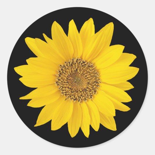 Gele zonnebloem op zwart ronde sticker (Voorkant)