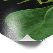 Gele zonnebloem op zwarte achtergrond Foto afdrukk Foto Afdruk (Hoek)