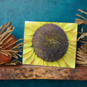 Gele Zonnebloem Plaquette Fotoplaat (Zijkant)