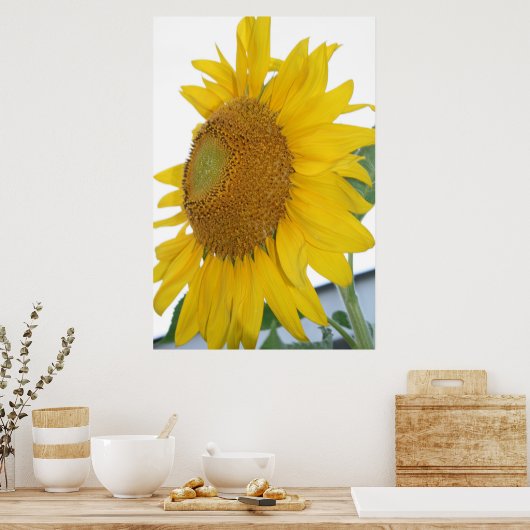 gele zonnebloem poster (Keuken)