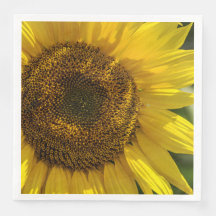 Gele Zonnebloem