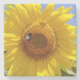 Gele zonnebloem stenen onderzetter