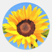 Gele Zonnebloem Sticker (Voorkant)