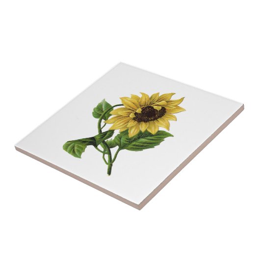 gele zonnebloem tegeltje (Zijkant)