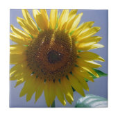 Gele zonnebloem tegeltje (Voorkant)