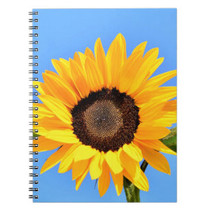 Gele zonnebloem tegen zon op blauwe hemel - zomer notitieboek