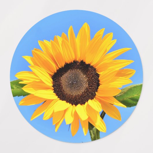 Gele zonnebloem tegen zon op Blue Sky labels (Design 2)