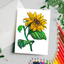 Gele Zonnebloem Tekening Gekleurd Potlood
