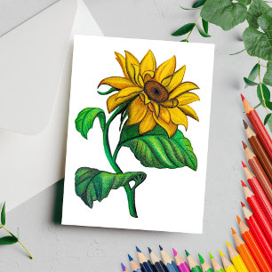 Gele Zonnebloem Tekening Gekleurd Potlood Briefkaart