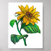 Gele Zonnebloem Tekening Gekleurde Potlood Kunst Poster (Voorkant)