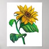 Gele Zonnebloem Tekening Gekleurde Potlood Kunst Poster (Voorkant)