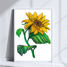 Gele Zonnebloem Tekening Gekleurde Potlood Kunst