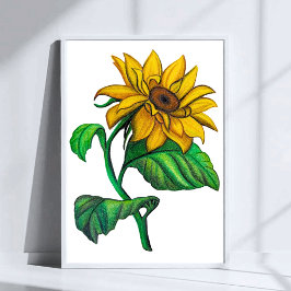 Gele Zonnebloem Tekening Gekleurde Potlood Kunst Poster