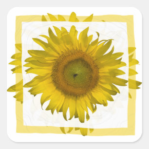 Gele zonnebloem vierkante sticker