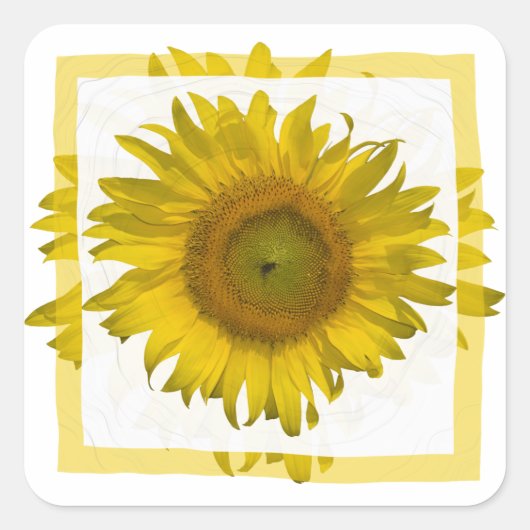 Gele zonnebloem vierkante sticker (Voorkant)