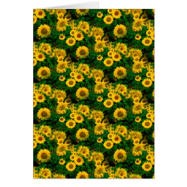gele zonnebloemen (Voorkant)